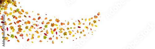 Goldener Herbst auf weissem Hintergrund