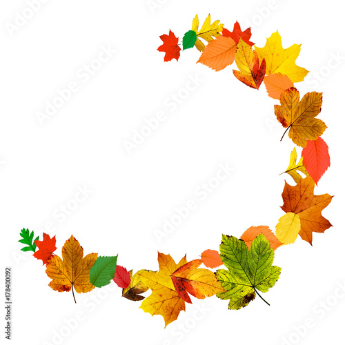 Goldener Herbst auf weissem Hintergrund