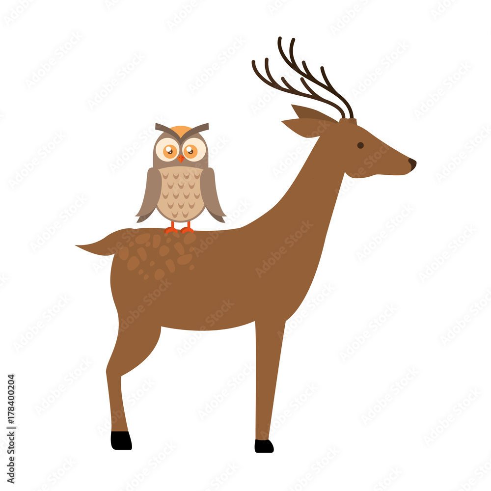 Fototapeta premium wild deer with owl