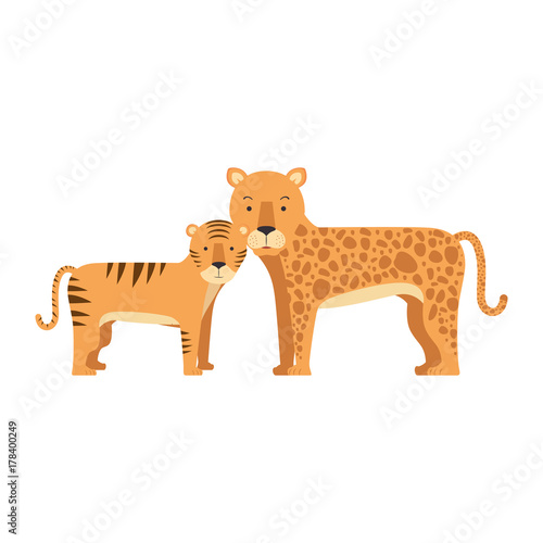 wild tiger and leopard