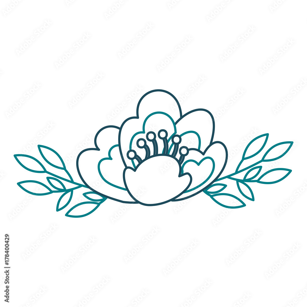 Fototapeta premium cherry flower leaves nature delicate bloom