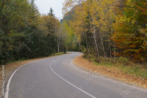 Landscape with an asphalt road in the autumn forest in the Caucasus Mountains
