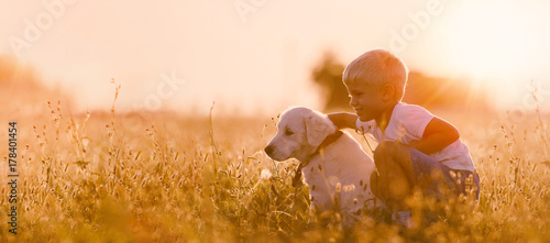 Young Child Boy Training Golden Retriever Puppy Dog in Meadow on Sunny Day