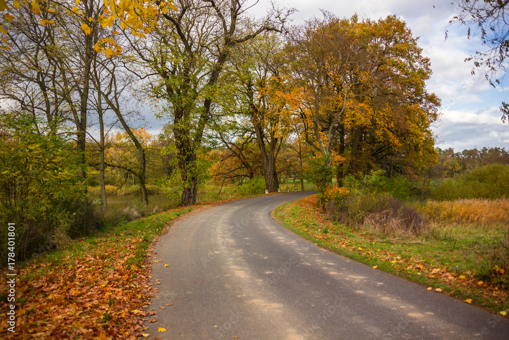Autumn countryside road