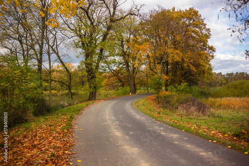 Autumn countryside road
