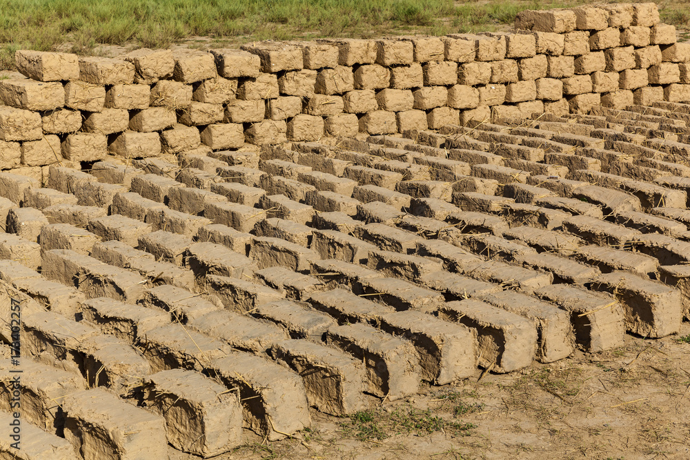 The bricks were made of clay and straw. ready bricks made of clay and straw dried on the street in the sun