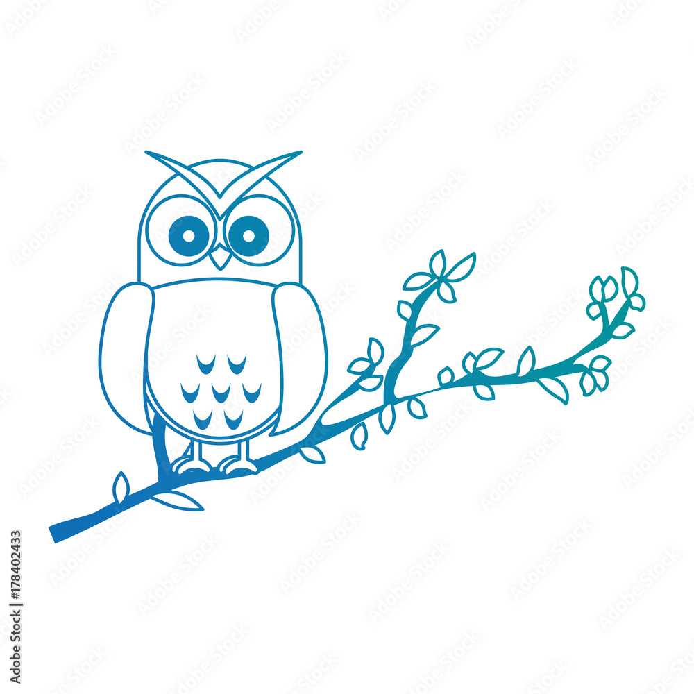 Fototapeta premium owl bird in branch