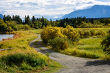 Gravel road between a marsh and lake in the Alaskan landscape, with mountains and a cloudy sky in the background
