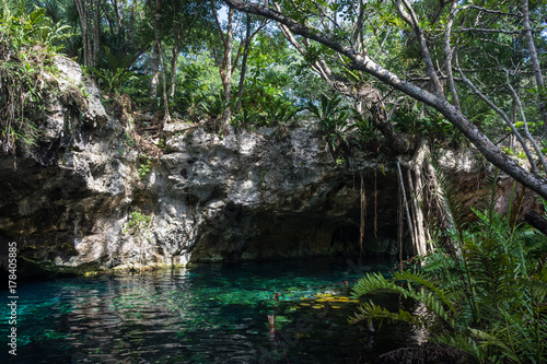 Gran cenote, Tulum, Yucatán, Mexique