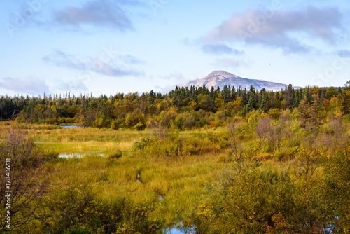 Path through a marsh in a fall Alaskan landscape, with a mountain and sky in the background 