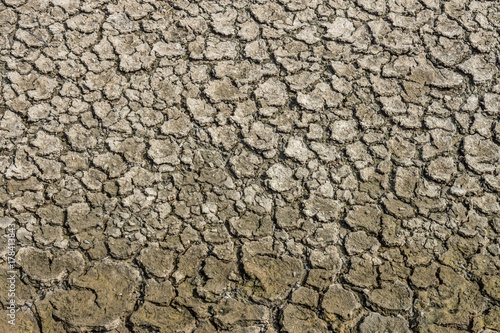 Pattern of contraction and desiccation cracks in dry earth. Because of the lack of water in the soil.