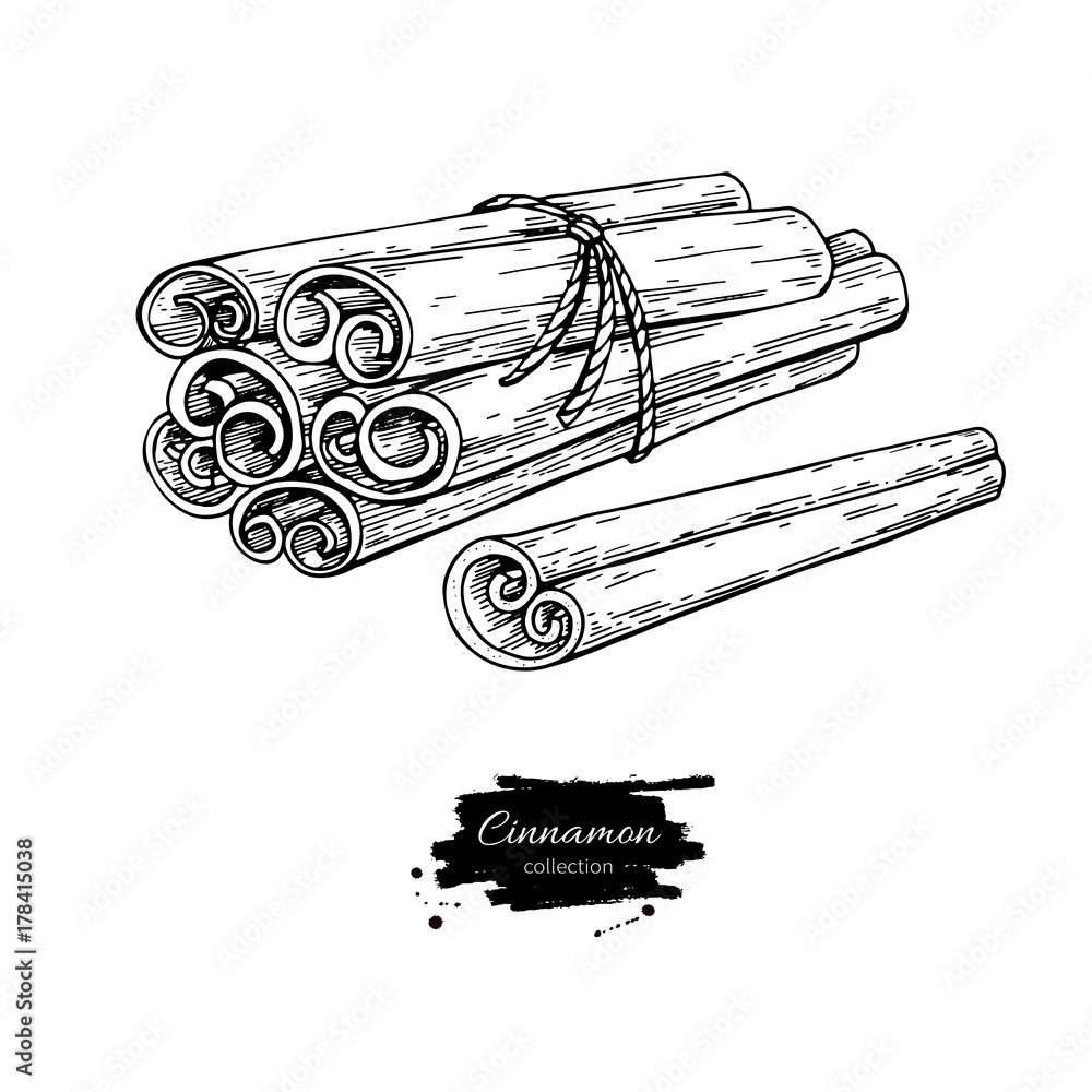 Cinnamon stick tied bunch Vector drawing. Hand drawn sketch. Seasonal ...