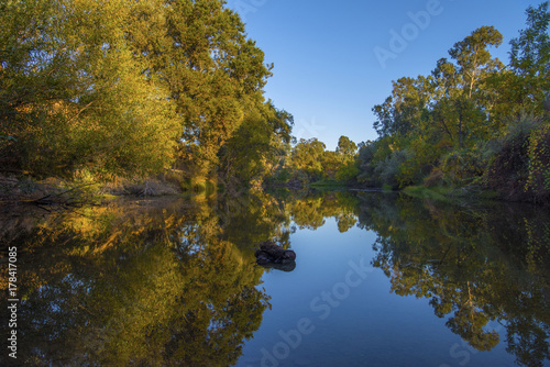 Autumn color reflected