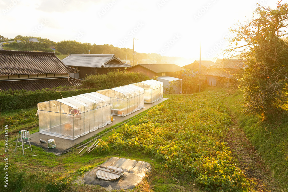 agricultural community in Japan