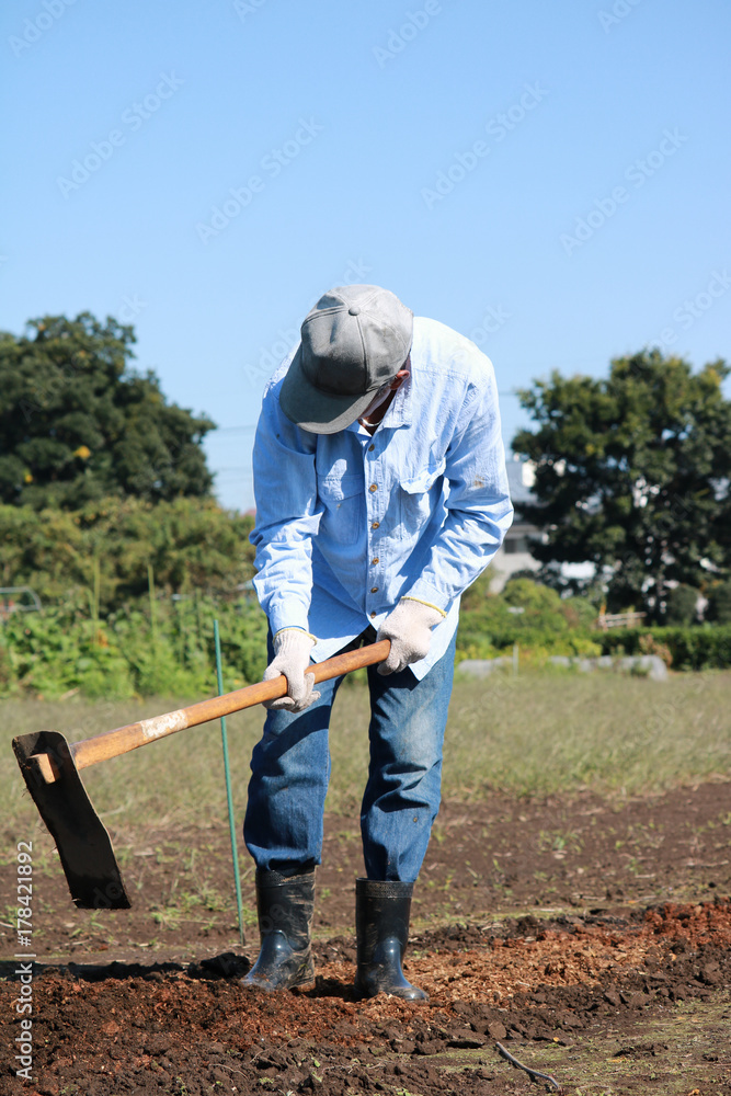 鍬で畑を耕す男性 Stock Photo Adobe Stock