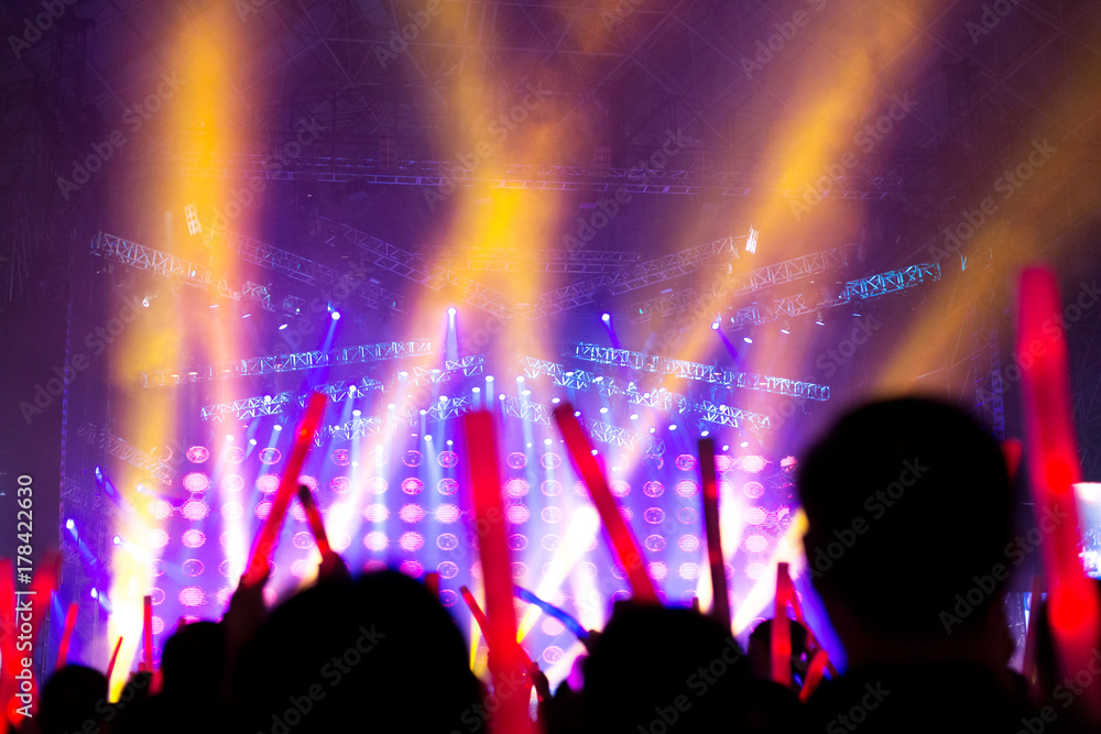 crowded people in outdoors concert at night