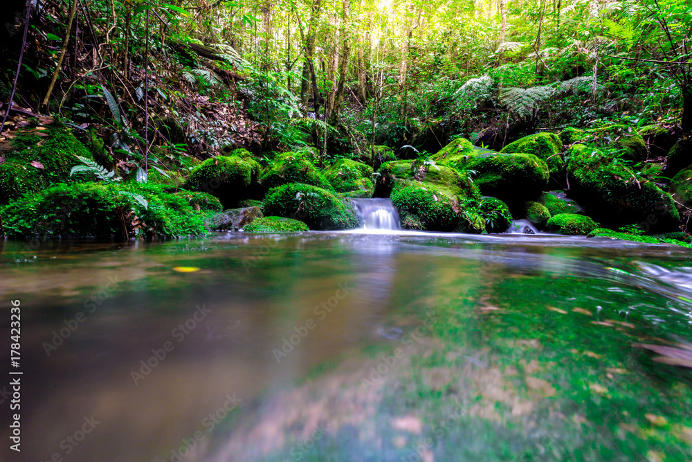The landscape photo, beautiful waterfall and maple leaf in rainforest, waterfall in Thailand The landscape photo, beautiful waterfall and maple leaf in rainforest, waterfall in Thailand