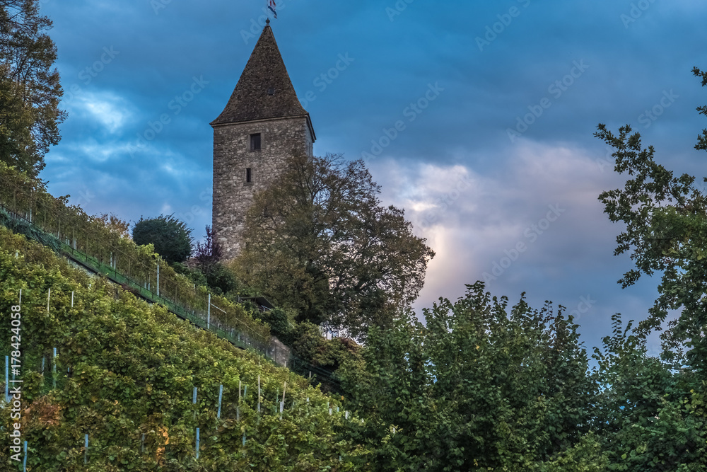 Vineyards on the hills of the Rapperswil castle, Sank Gallen, Switzerland