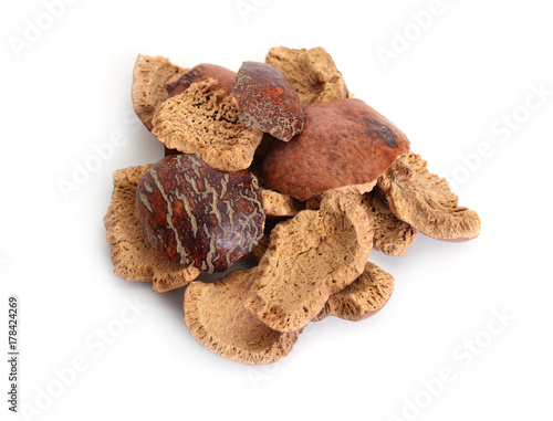 Dried peels of Hyphaene thebaica, doum palm or gingerbread tree (also doom palm). Isolated.