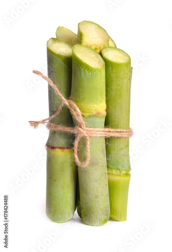 Sugar cane isolated on white background photo