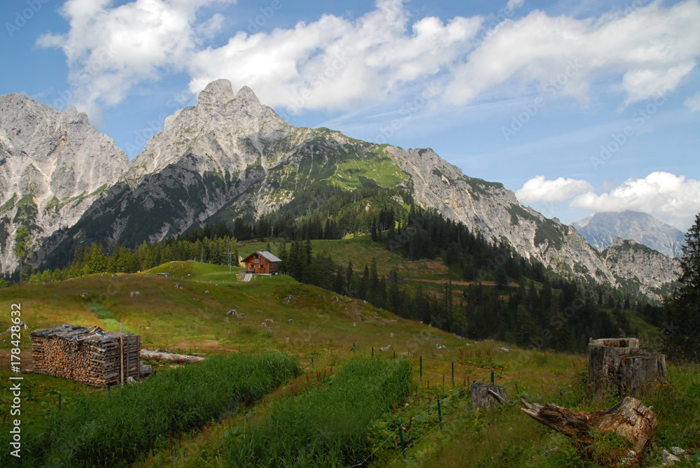 Admonter Reichenstein in the alps, Austria, a hut and wood pile seen from a grass field