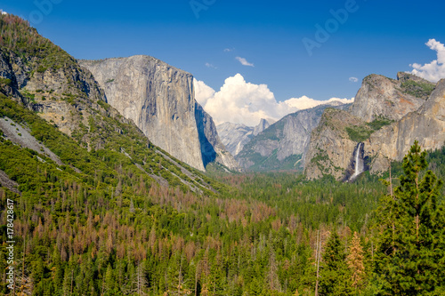 Yosemite National Park Valley summer landscape