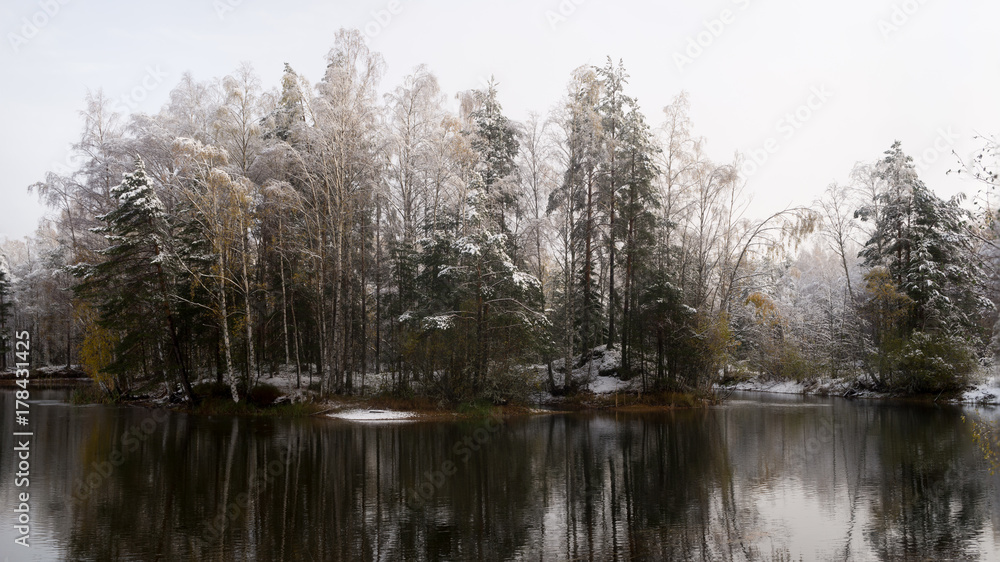 Calm lake in frosty morning. Snow covered trees in background.