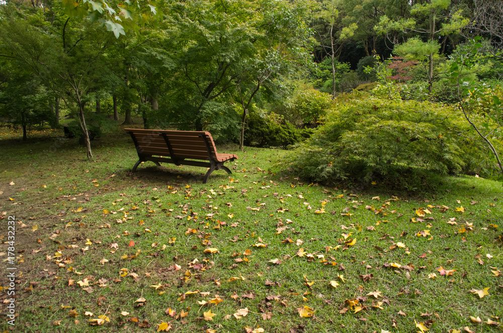 秋の公園 芝生の上の落葉とベンチ Stock Photo Adobe Stock