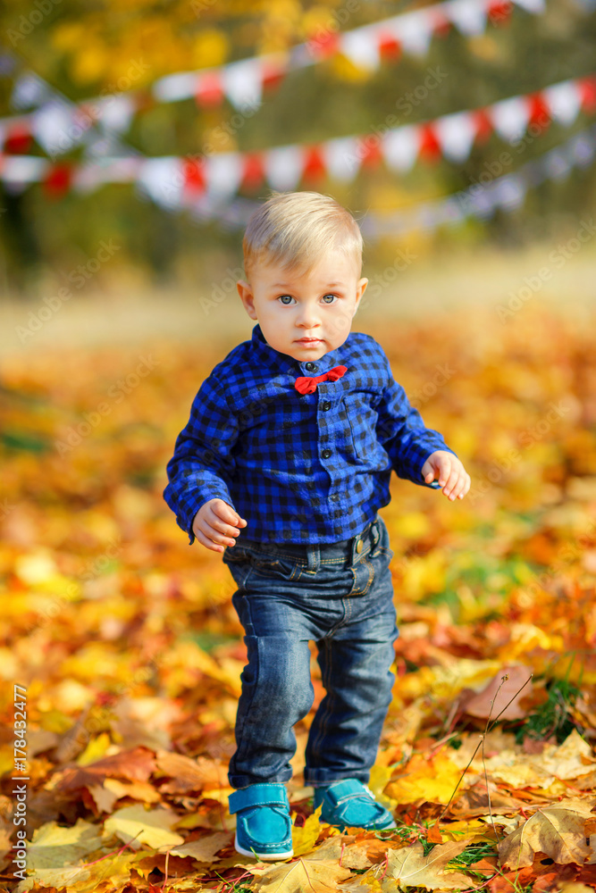 happy kid walks in a beautiful autumn park. happy kid walks in a beautiful autumn park.