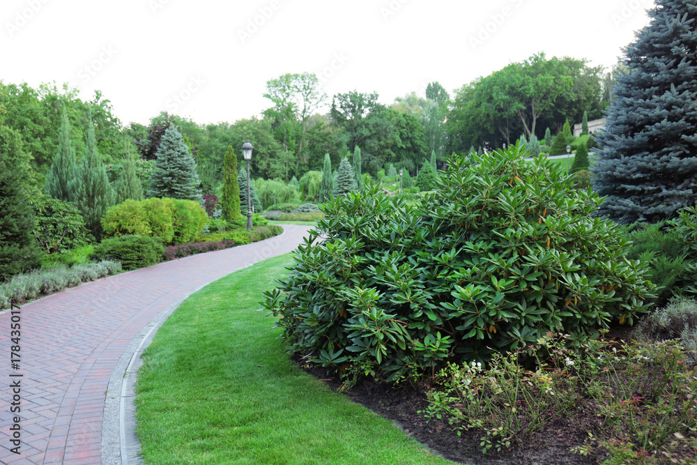 Beautiful green park on summer day