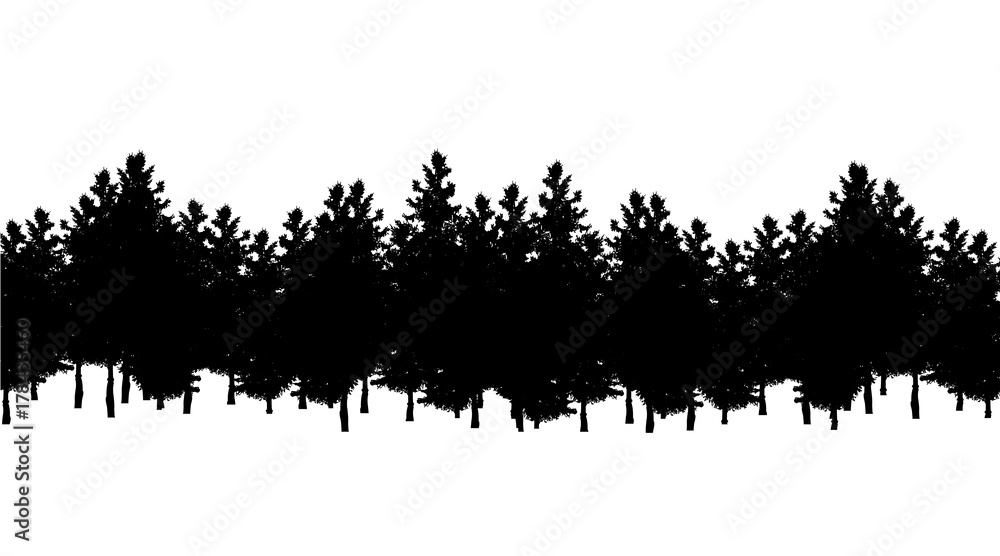 Fototapeta premium Vector silhouette of forest on white background.