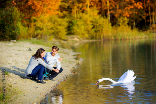 family sits on the shore of the lake and feeds the swans