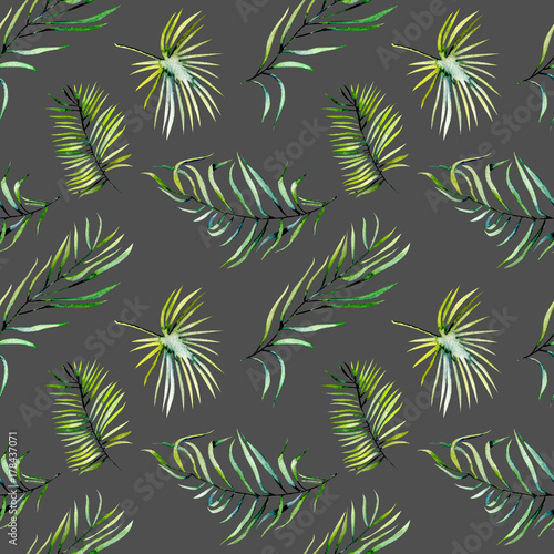 Watercolor green tropical palm leaves and fern branches seamless pattern  hand painted isolated on a dark background