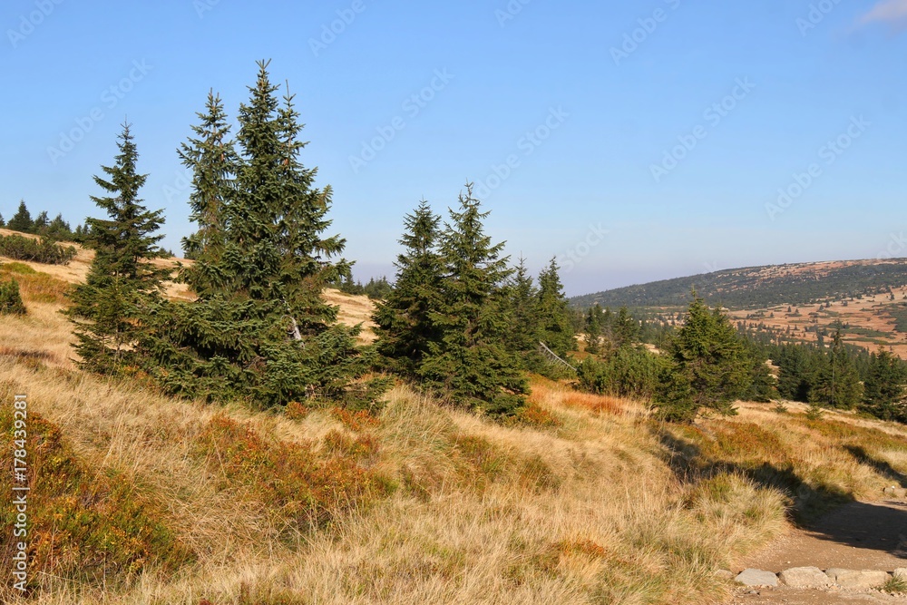 beautiful autumn landscape of Giant Mountains National park in the Czech republic near town Spindleruv mlyn. beautiful autumn landscape of Giant Mountains National park in the Czech republic near town Spindleruv mlyn.