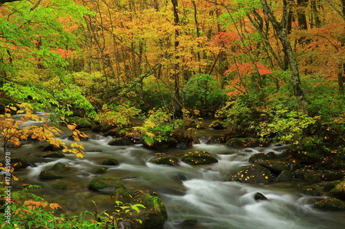 紅葉の奥入瀬渓流 © yspbqh14