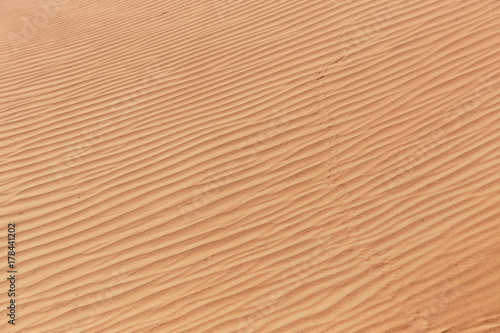 Background red desert sand