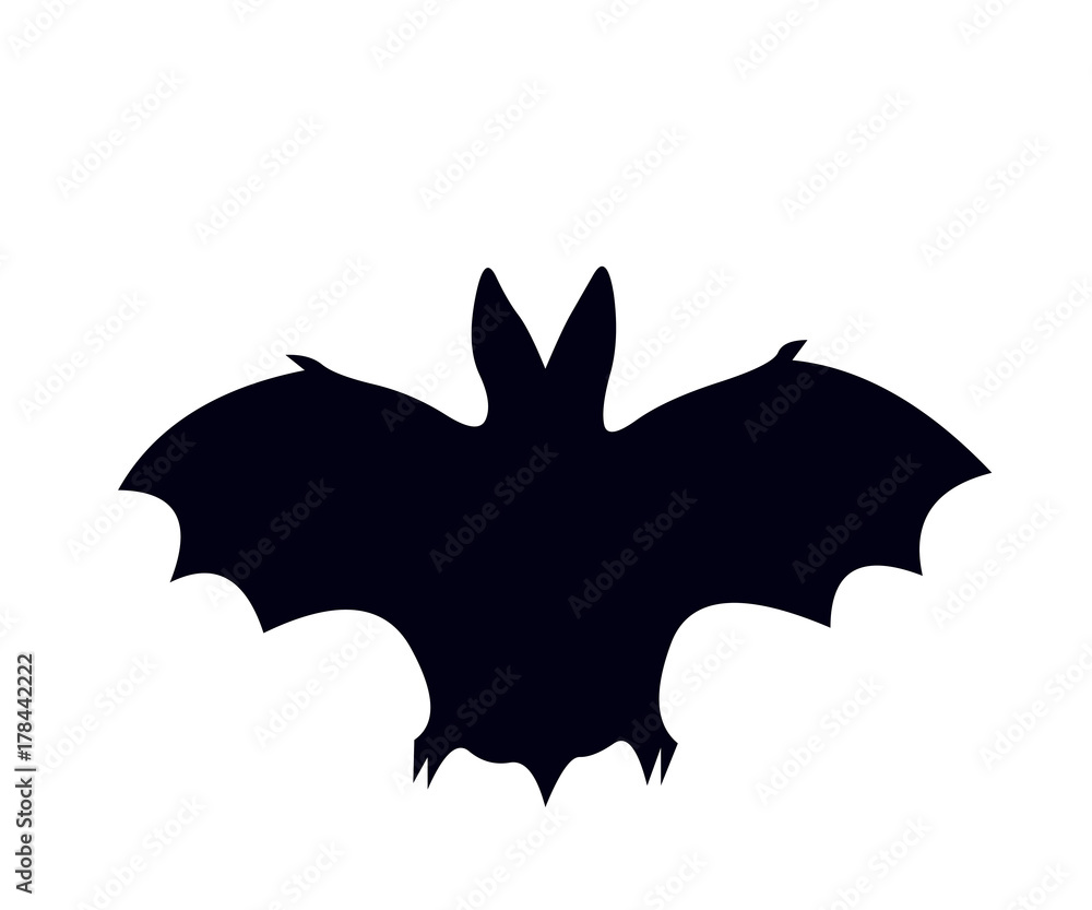 Fototapeta premium Pipistrello notturno con ali spiegate