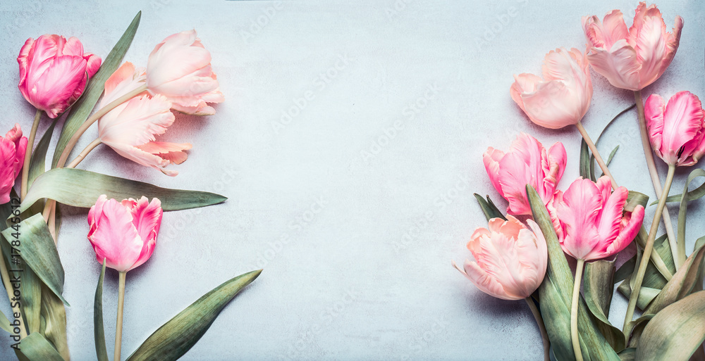Fototapeta premium Piękne tulipany w różowym pastelowym kolorze na jasnoniebieskim tle, widok z góry, ramka, granica. Piękny kartkę z życzeniami z tulipanów na dzień matki, wesele lub szczęśliwego zdarzenia