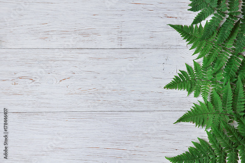 Bild auf Leinwand fern leaves on a white wooden background. Decorative background