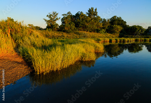 Bay area with grasses and water reflection off dock in summertime