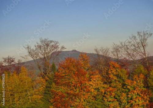 autumn colorful red orange forest and trees and hill in golden light before sunset landscape in luzicke hory mountain