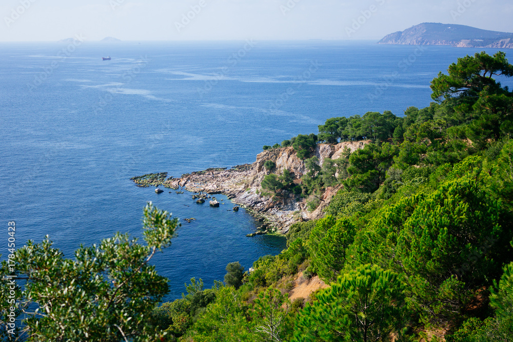 Mountainside covered with pines in Marmara sea