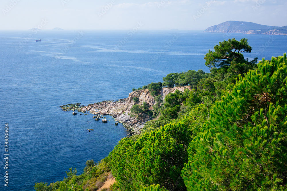 Mountainside covered with pines in Marmara sea