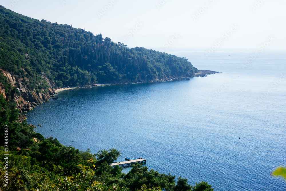 Mountainside covered with pines and cypresses in Marmara sea