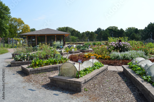 Vegetable beds in the garden