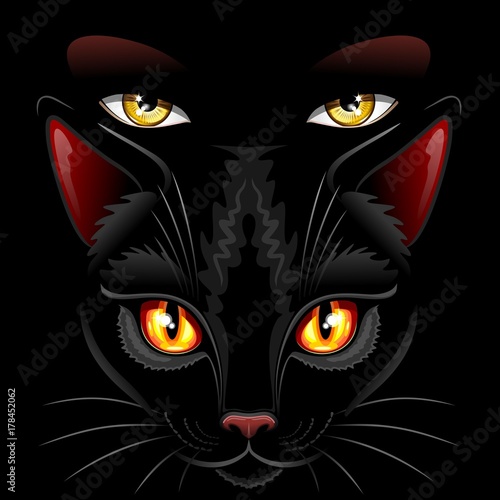 Fototapeta Naklejka Na Ścianę i Meble -  Witch Black Cat Eyes Sorcery
