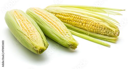 Three fresh corn isolated on white background