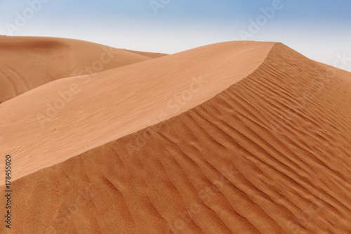 Arabian desert