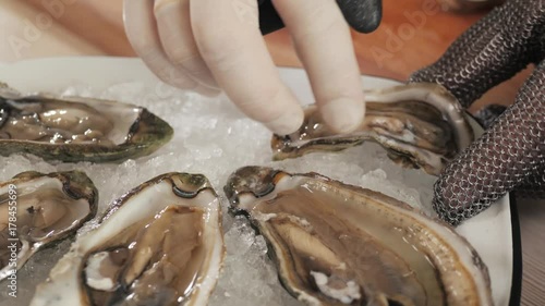 fresh oyster on hand chef, seafood restaurant, glove with lemon on ice photo