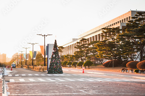 Christmas tree on a city street